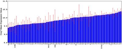 Ethanol’s Effect on Coq7 Expression in the Hippocampus of Mice